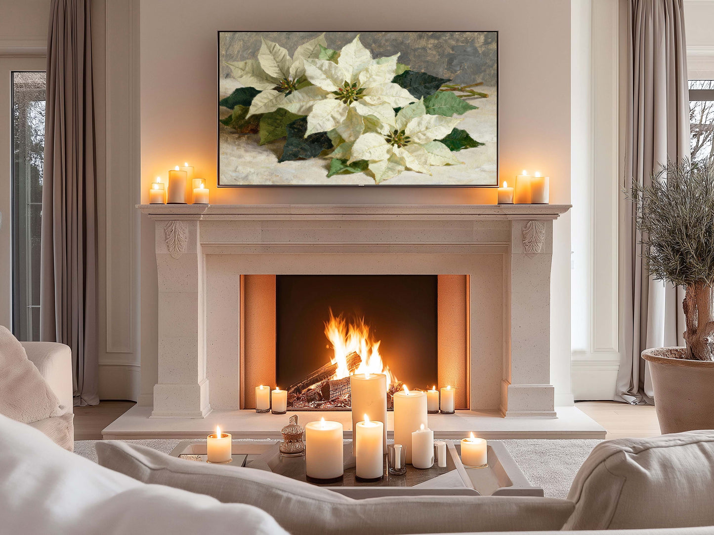 White Poinsettia TV Art